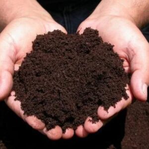 Compost Fertilizer for Sale | Organic Compost Suppliers & Bulk Manufacturers