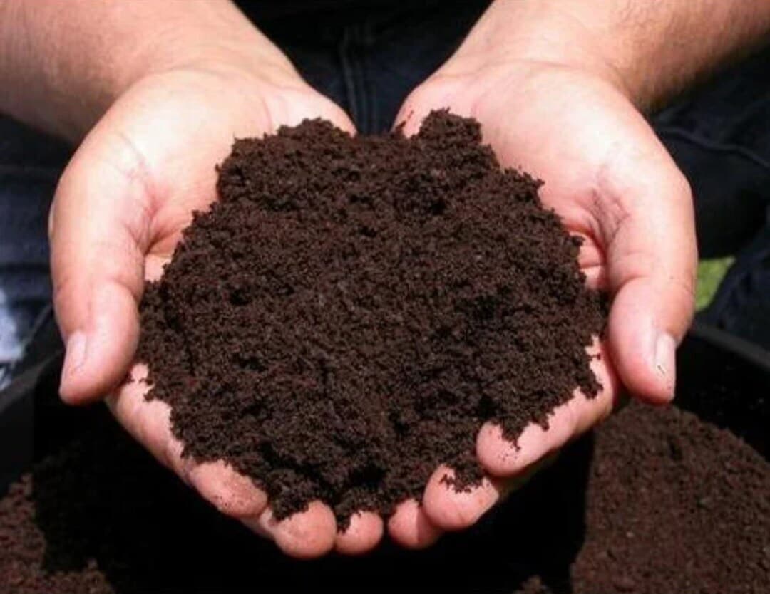 Compost Fertilizer for Sale | Organic Compost Suppliers & Bulk Manufacturers