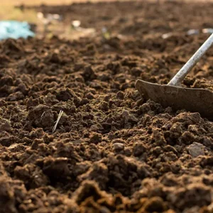 Manure Fertilizer – Organic Soil Booster for Healthier Crops