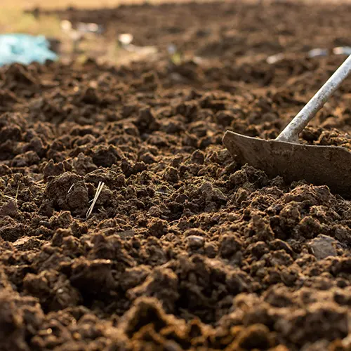 Manure Fertilizer – Organic Soil Booster for Healthier Crops