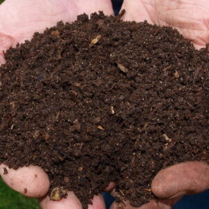 Premium Vermicompost for Sale | Organic Vermicompost Suppliers & Manufacturers